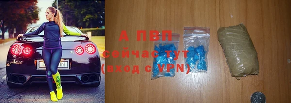 стаф Абаза