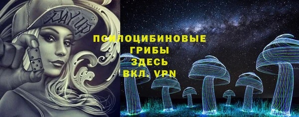 стаф Абаза