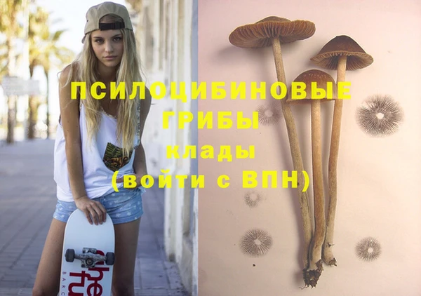 стаф Абаза