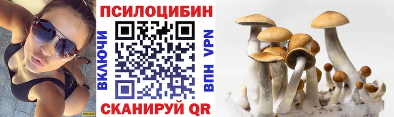 Псилоцибиновые грибы MAGIC MUSHROOMS МЕГА Прокопьевск