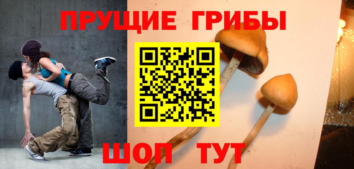 Галлюциногенные грибы мицелий Прокопьевск