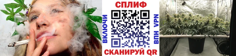 Конопля планчик  где продают наркотики  Прокопьевск 